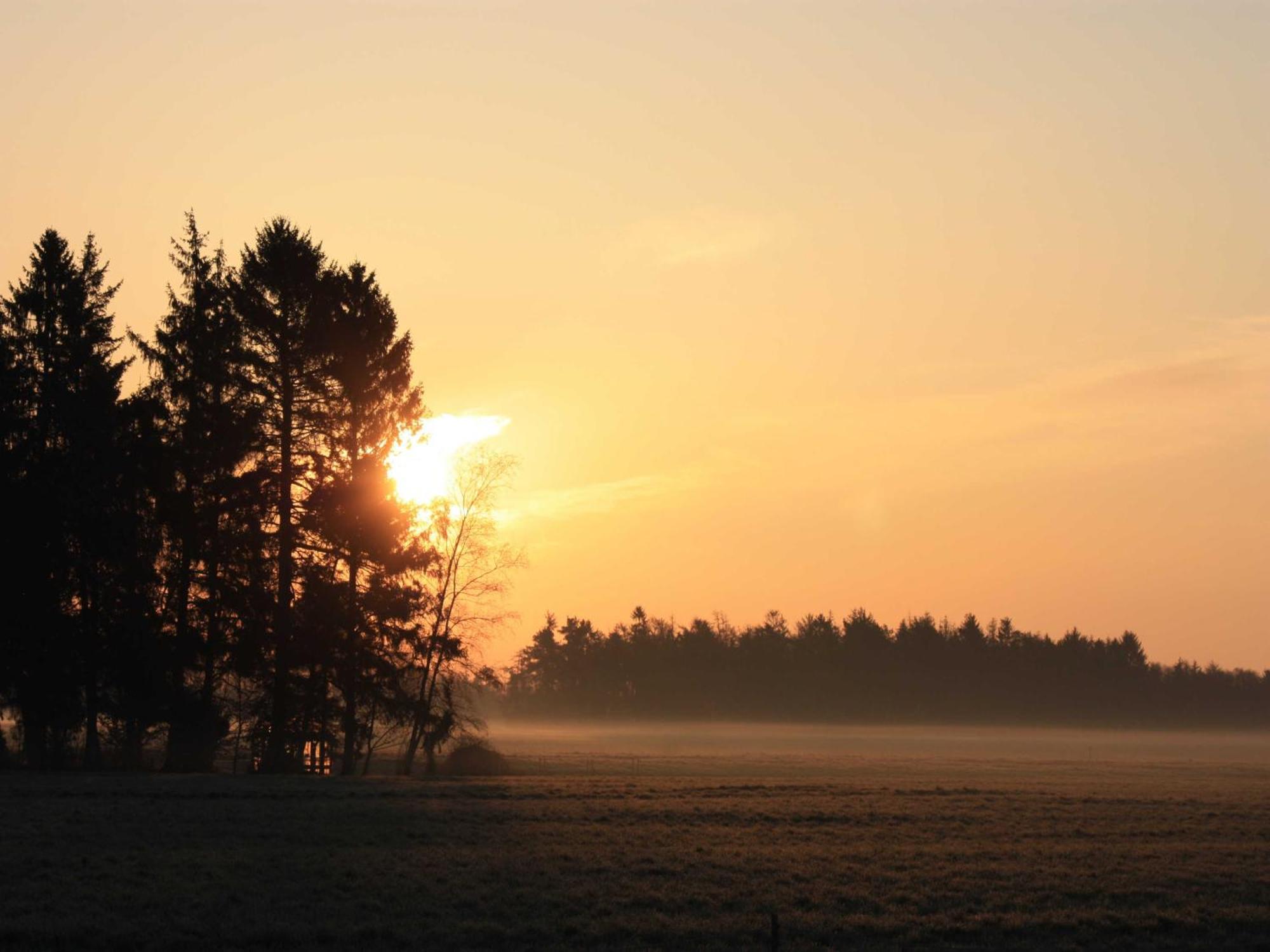 Herzfeldhof Worpswede Buitenkant foto