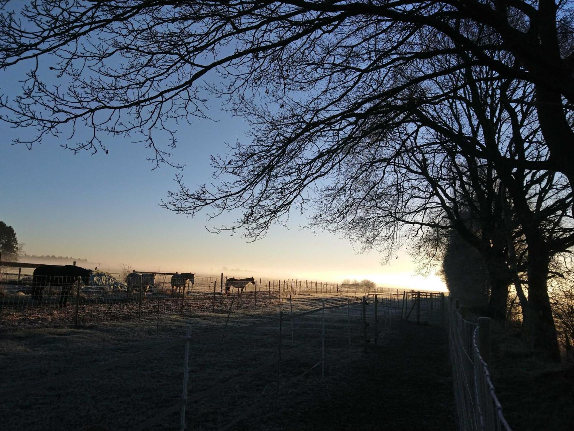 Herzfeldhof Worpswede Buitenkant foto
