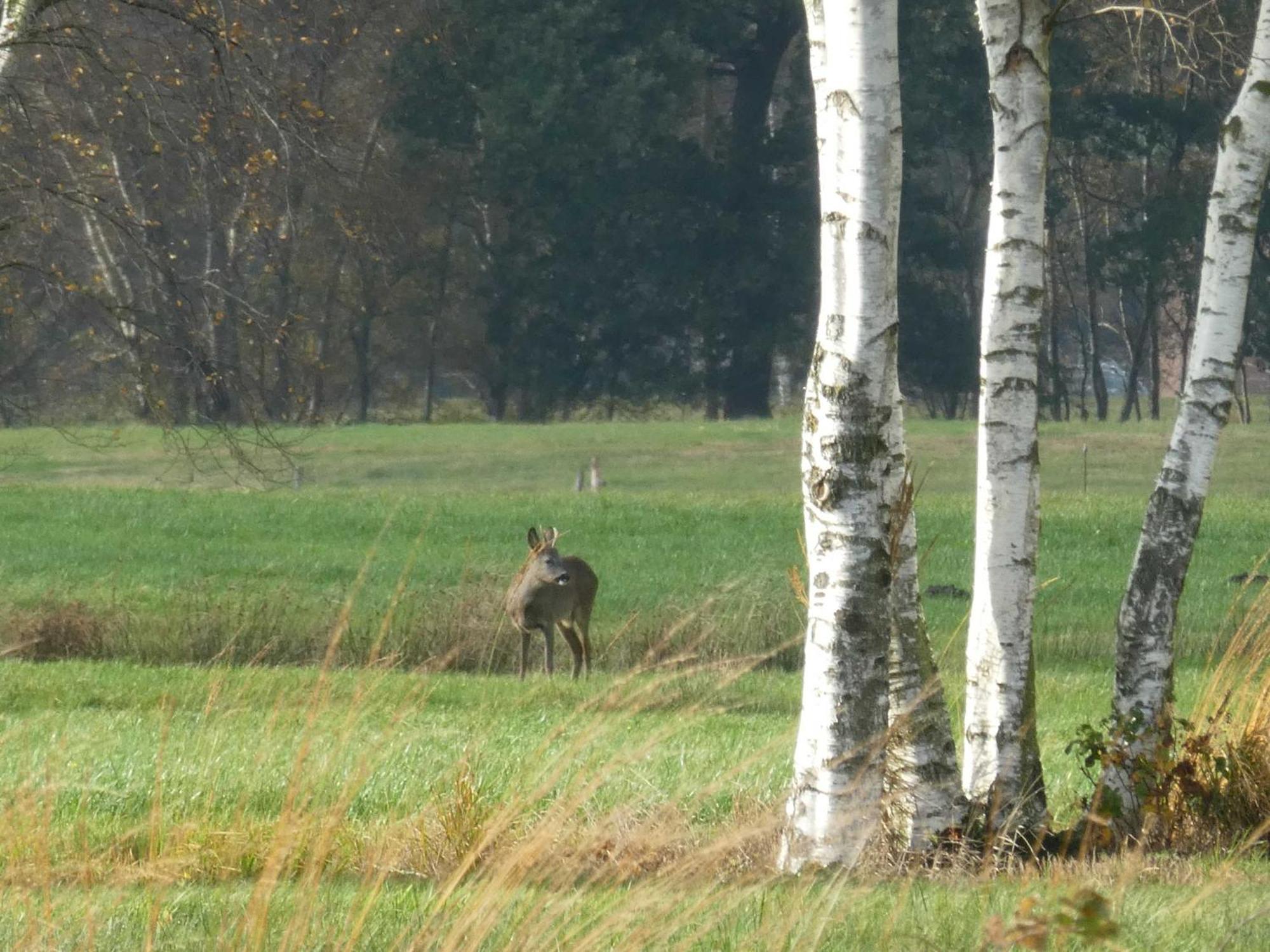 Herzfeldhof Worpswede Buitenkant foto